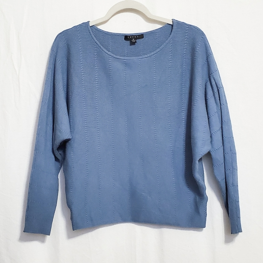 Anthropologie Cyrus Dolman Sleeve Sweater Blue Medium